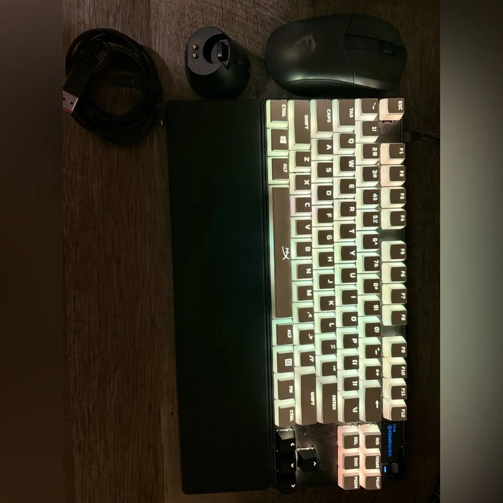 Apex Pro TKL Omni Point Switches w MSI GM41 Lightweight Wireless/Wired mouse